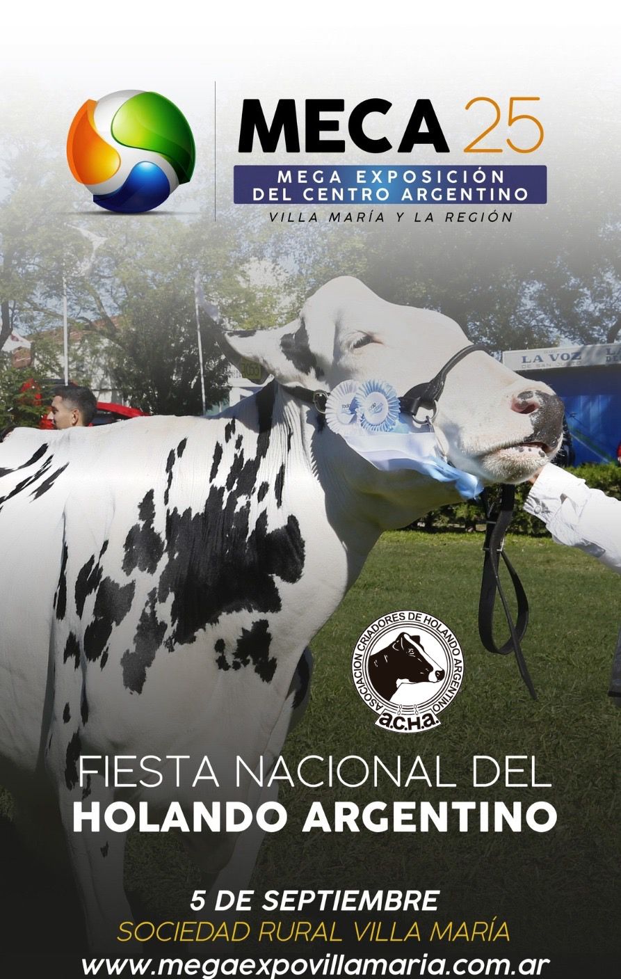 69f650ca 6fe4 4e53 887b 6796e4848363