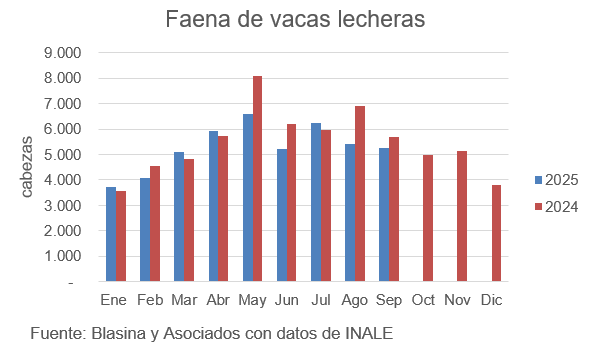 Faena de vacas lecheras cae 8% interanual