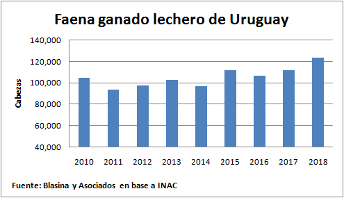 Faena de vacas lecheras en 2018 fue la mas alta al menos desde 20102