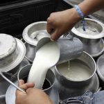 Diputados alistan sanciones para quien venda como leche productos que no lo son