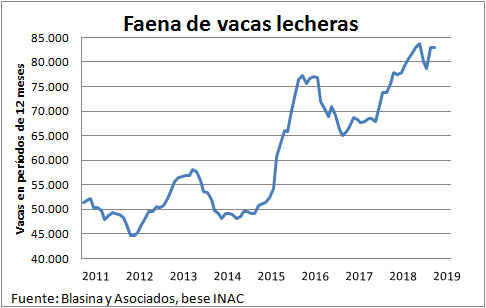 Faena de vacas lecheras fue la mas alta para el primer trimestre desde que se llevan registros2