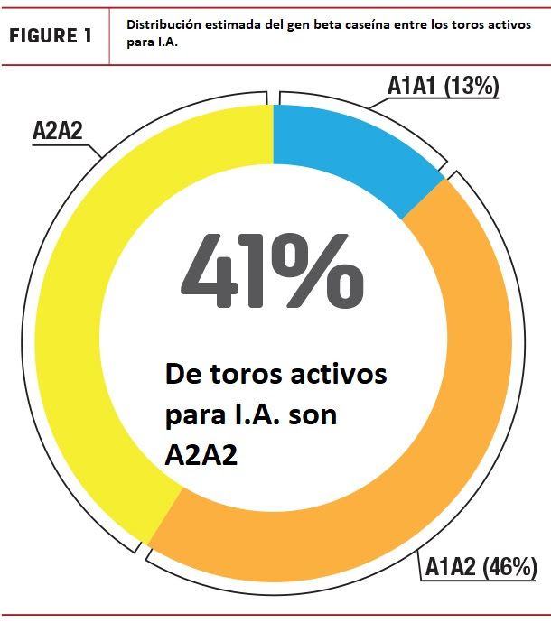 Leche A2A21