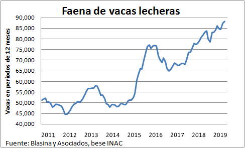 Faena de vacas lecheras marco otro maximo en doce meses1