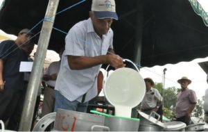 Concurso de ordeño en Panamá genera preocupación