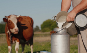 TRIBUNAL Ganaderos reclaman 200 millones por el cártel de la leche