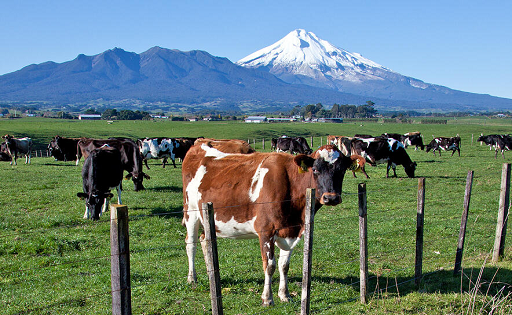 Nueva Zelanda