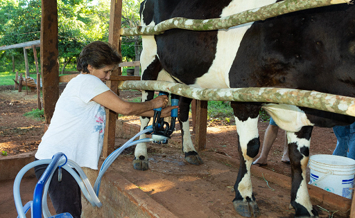 LECHE Cambyretá