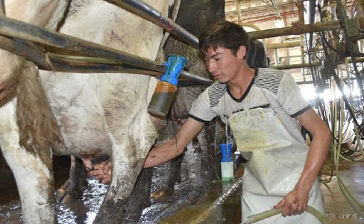 PRODUCCIÓN LECHE TAMBOS