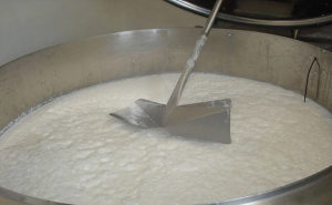 Lactovalor Transforman el lactosuero en alimentos funcionales de alto valor nutritivo