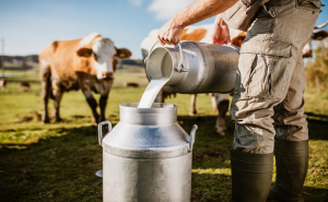 leche lácteo