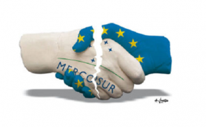 MERCOSUR-EDA