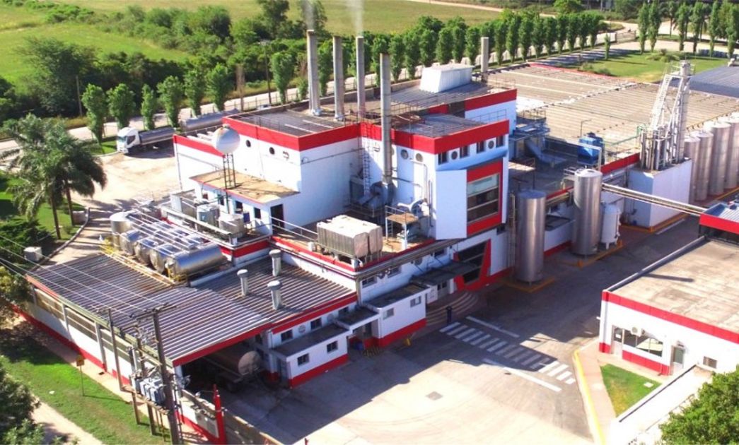 Innovación Y Sostenibilidad En La Producción De Derivados Lácteos ...