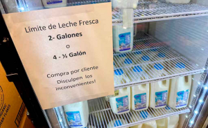 LECHE