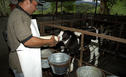 Chiriquí