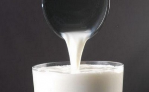 LECHE