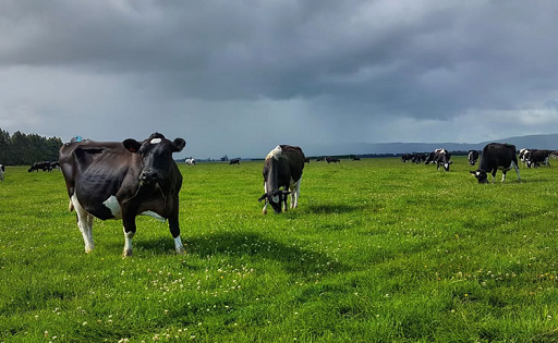 FONTERRA