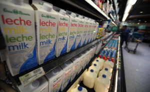 LECHE LÁCTEOS