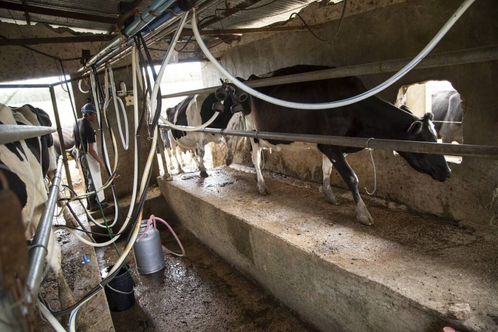 Gremiales que integran Asociación de Productores de Leche se reunieron con el futuro ministro de Trabajo