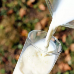 Son mejores las bebidas vegetales que la leche de vaca Esto es lo que dicen los expertos