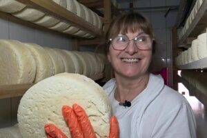 El queso más caro del mundo es español y se encuentra en Asturias