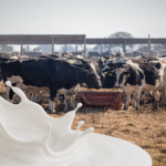 Poder de compra mientras la soja se deprecio la leche se valorizo