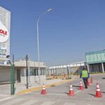 Reconocidas firmas lecheras se enfrentan en TDLC por abuso de precio Prolesur arriesga multa de US$ 8 millones