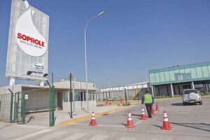 Reconocidas firmas lecheras se enfrentan en TDLC por abuso de precio Prolesur arriesga multa de US$ 8 millones