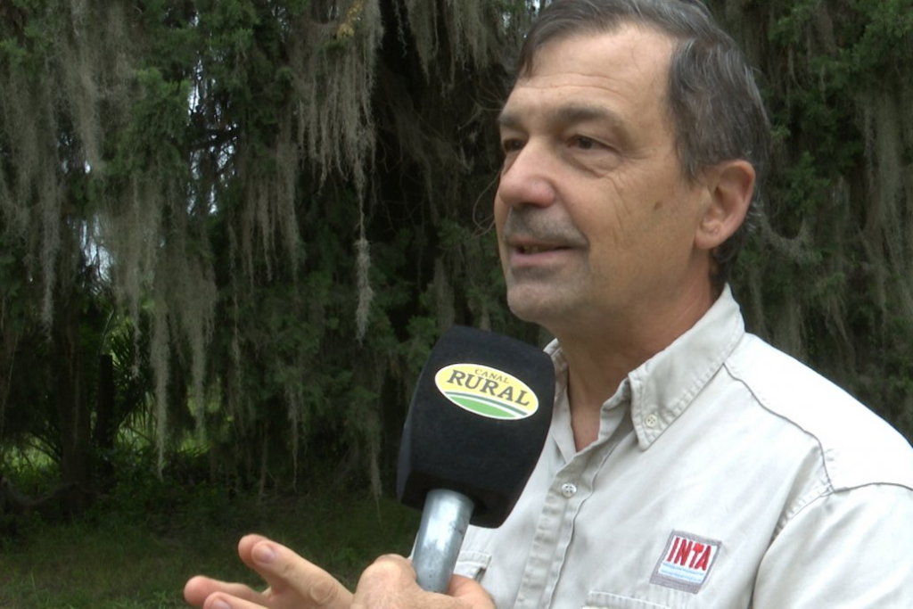 Walter Mancuso