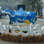 MERCADO