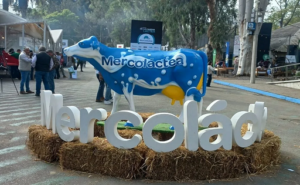 MERCADO