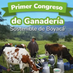 Boyaca se la juega por transformar su cadena lactea
