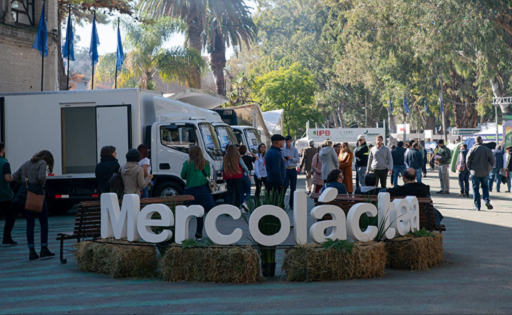 MERCOLACTEA