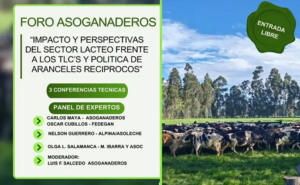 LÁCTEO