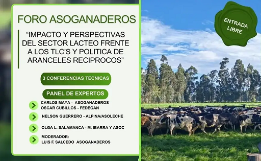 LÁCTEO