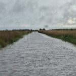 CAMINOS