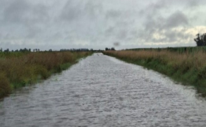 CAMINOS