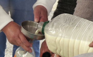 LECHE
