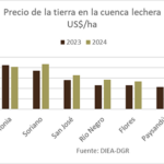 TIERRA
