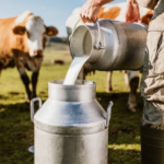 Así ha ido evolucionando el consumo lácteo en Colombia
