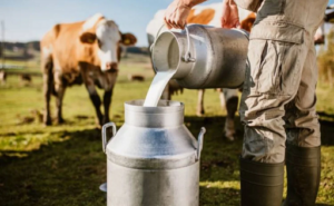Así ha ido evolucionando el consumo lácteo en Colombia