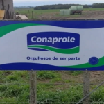 CONAPROLE