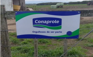 CONAPROLE