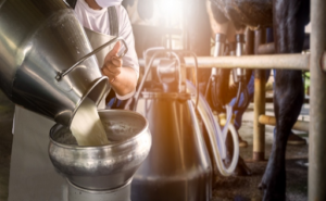 El precio medio de la leche en la UE podría rondar los 0,54