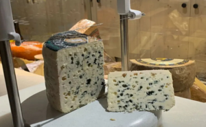 QUESO