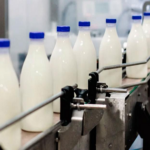 El sector lácteo mostró una recuperación del 11% en medio de altos precios en dólares