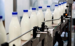 El sector lácteo mostró una recuperación del 11% en medio de altos precios en dólares