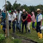 En Arauca aumentaron hatos y producciones de leche