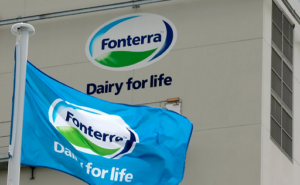 Fonterra aumento de su beneficio