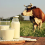 Genética potencia tambos Paraguay duplica producción láctea