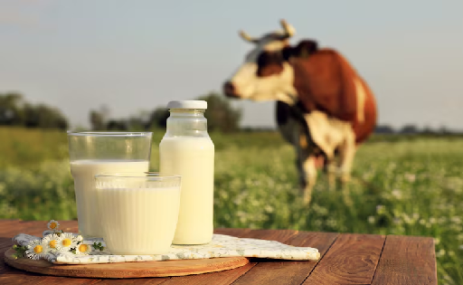 Genética potencia tambos Paraguay duplica producción láctea